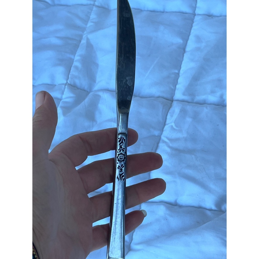 Vintage Unisex Ekco Eterna La Joya Dinner Knife OS Silver